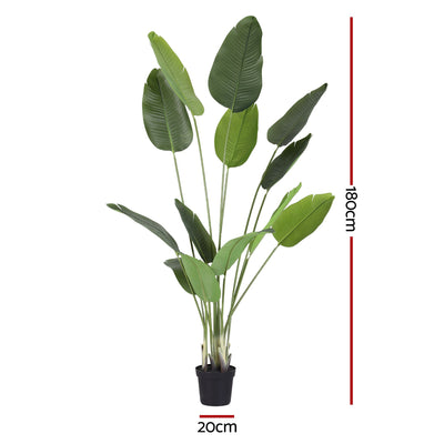 Product specification image