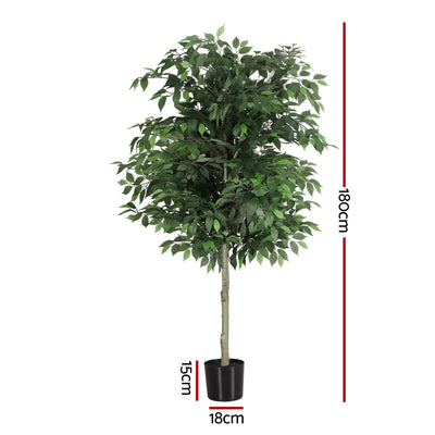 Product specification image