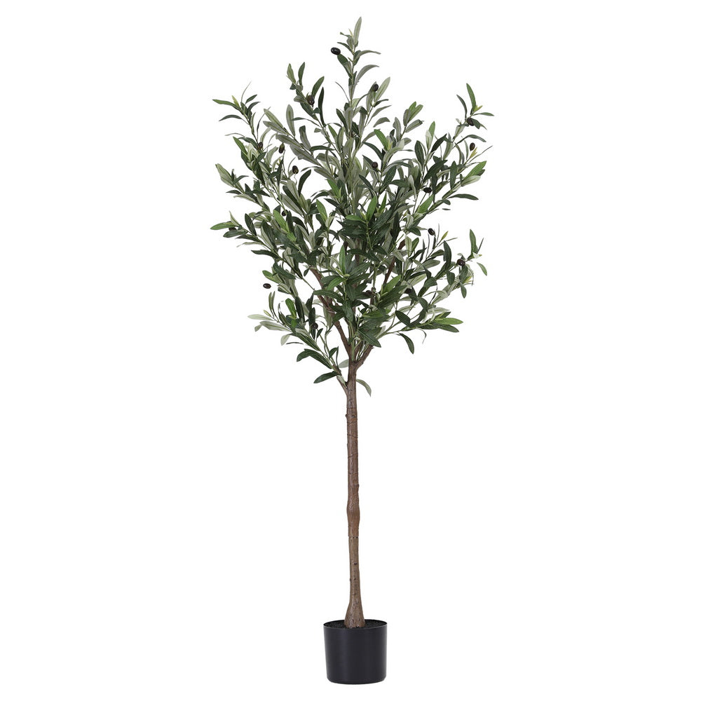 Artiss 155cm Artificial Olive Tree Faux Trees Indoor Decor Artificial Plants Lifelike Plant - Homecoze