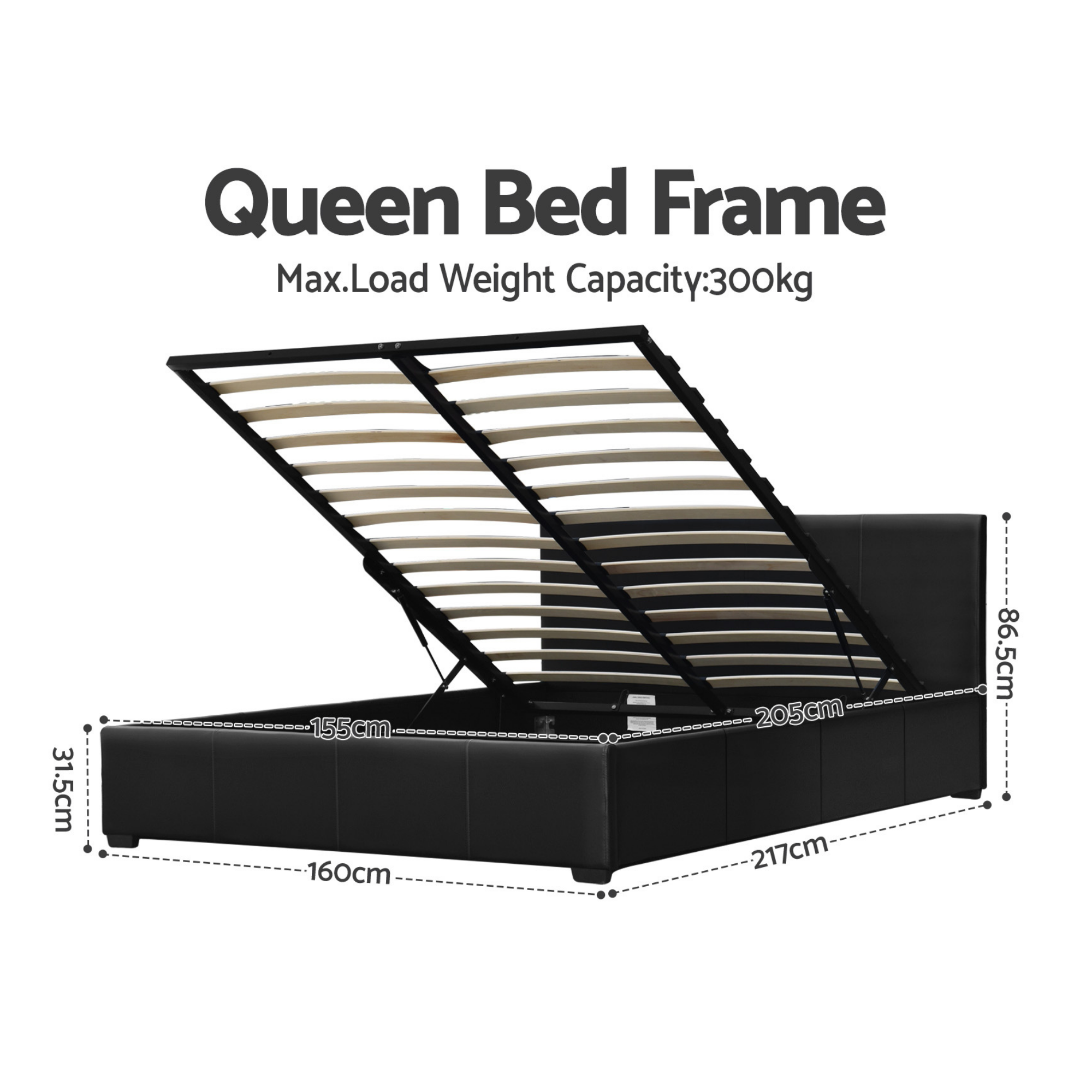 Tampa (Queen) Gas-Lift Storage Bed Frame - Black - Homecoze
