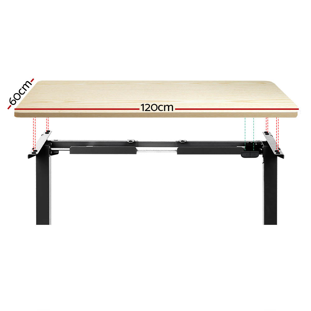 Standing Desk (Single Motor) Black & Oak 120cm - Homecoze