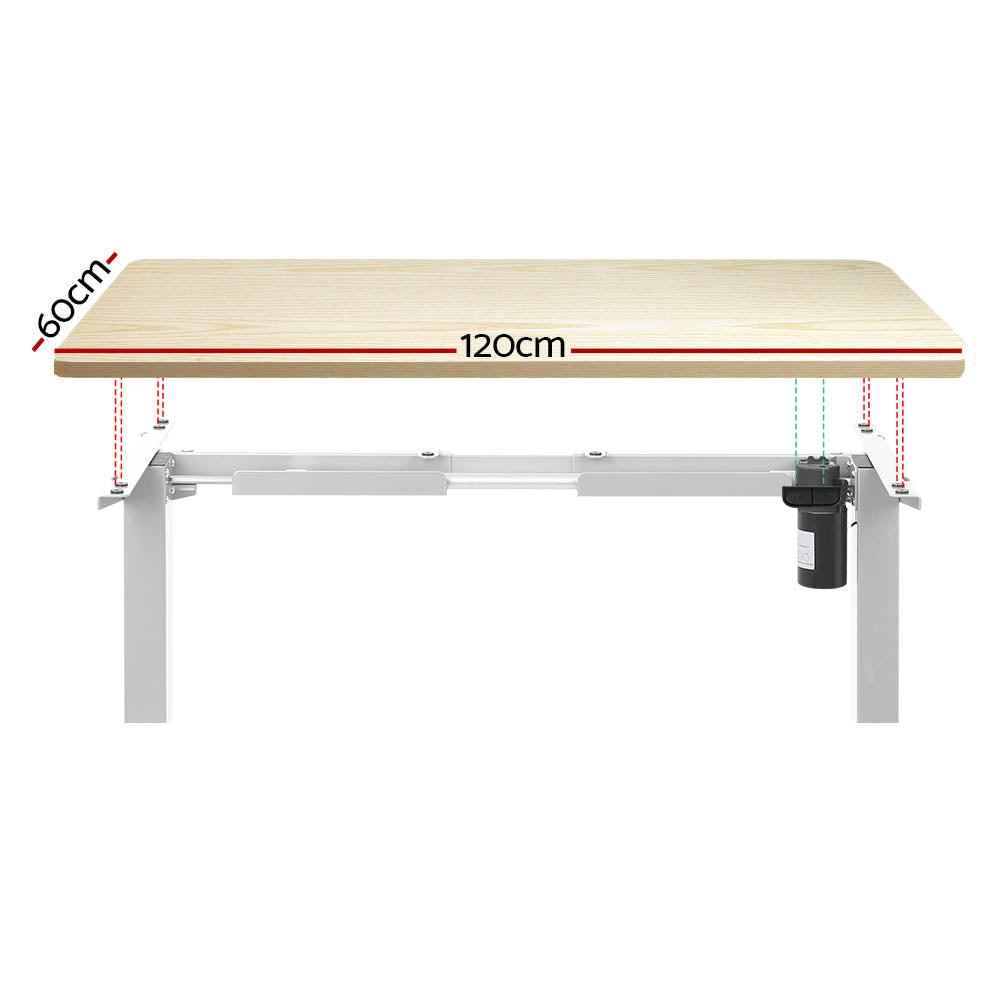 Standing Desk (Single Motor) White & Oak 120cm - Homecoze