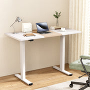 Standing Desk (Dual Motor) White + White & Pine 120cm - Homecoze
