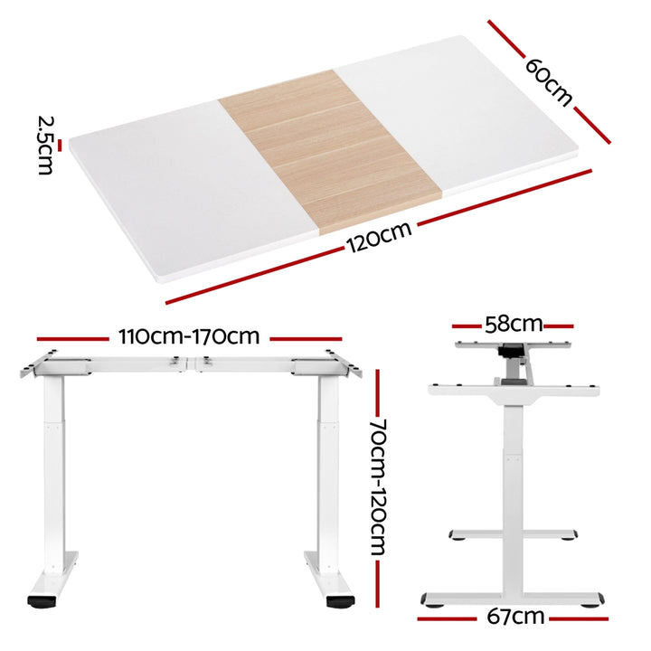 Standing Desk (Dual Motor) White + White & Pine 120cm - Homecoze