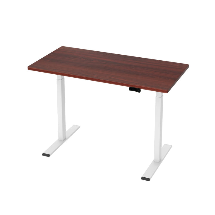 Standing Desk (Dual Motor) White & Walnut 120cm - Homecoze