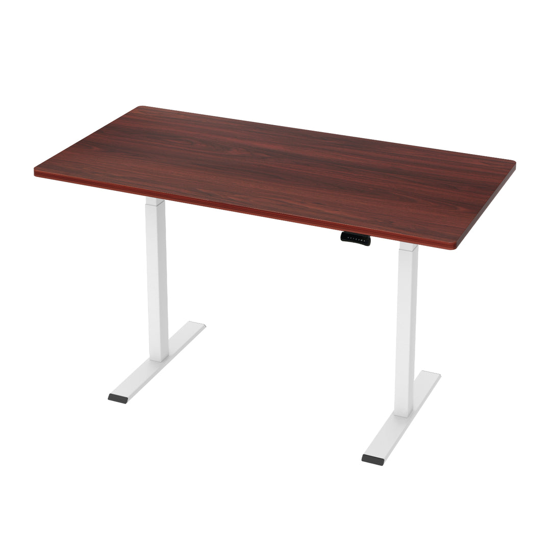 Standing Desk (Dual Motor) White & Walnut 140cm - Homecoze