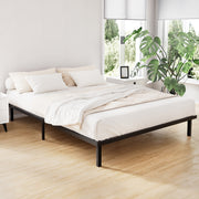 Canton (Queen) Metal Bed Frame - Black - Homecoze