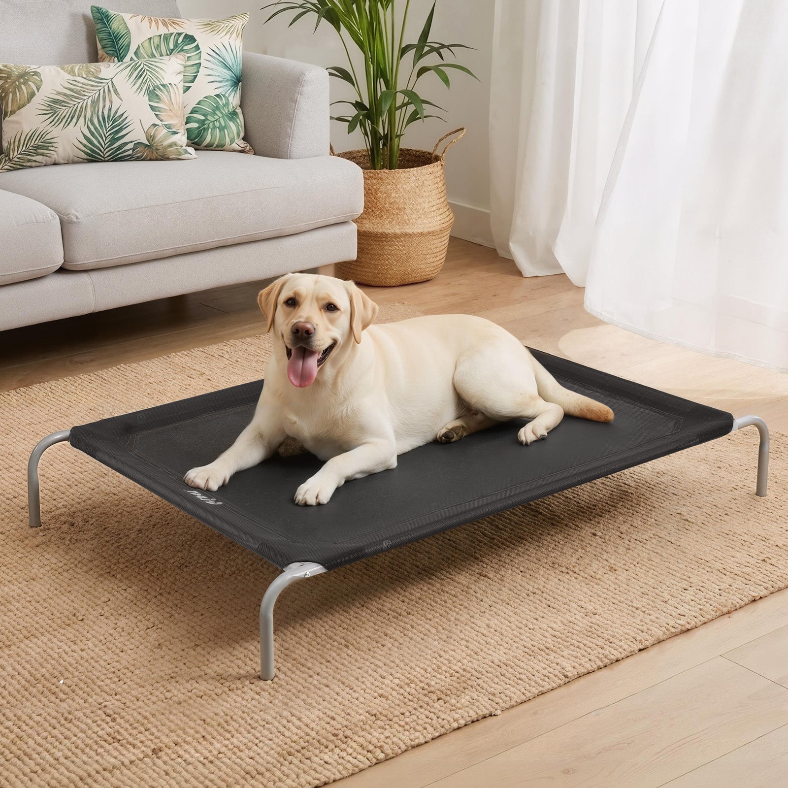 i.Pet Pet Dog Bed Elevated Trampoline Durable Raised Heavy Duty Large Dogs 90x137cm Black - Homecoze