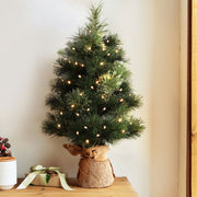 2FT (60cm) Mini Christmas Tree with Battery LEDs - Homecoze