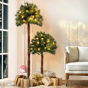 5FT Pre-lit LED Christmas Palm Tree - Homecoze