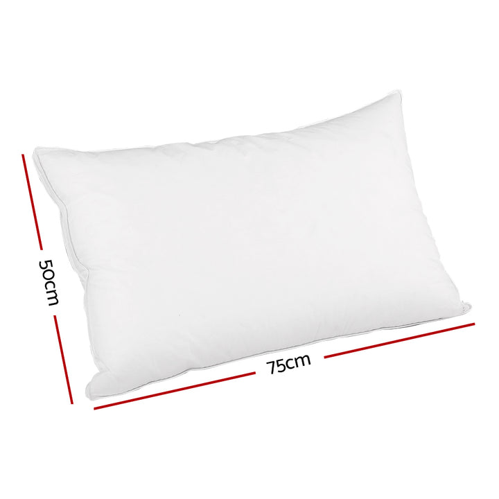 Duck Feather Down Twin Pack Pillow Homecoze