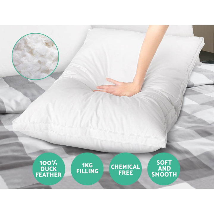 Duck Feather Down Twin Pack Pillow Homecoze