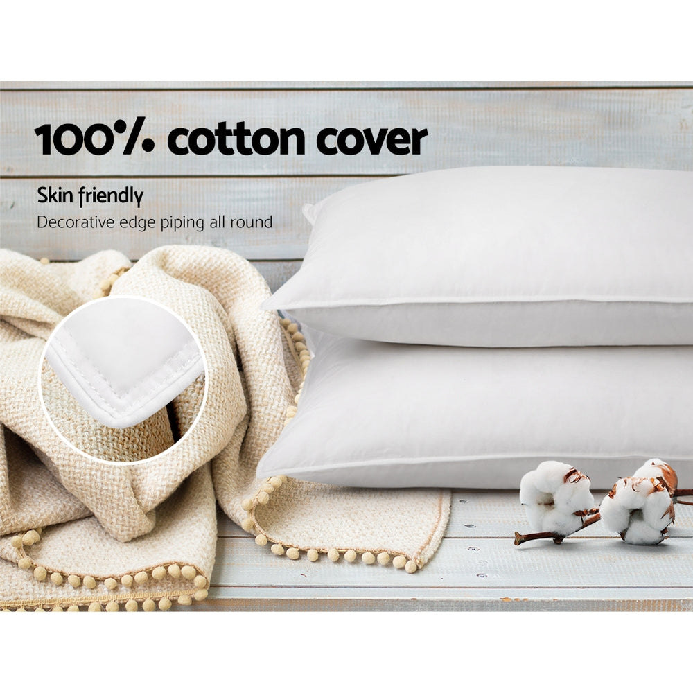 Set of 2 Duck Down Pillow - White Homecoze