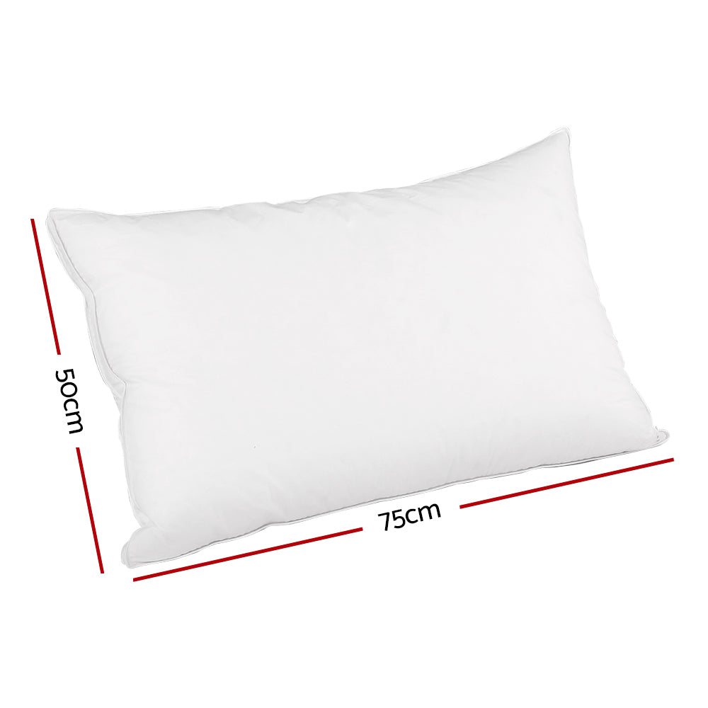 Goose Feather Down Twin Pack Pillow Homecoze