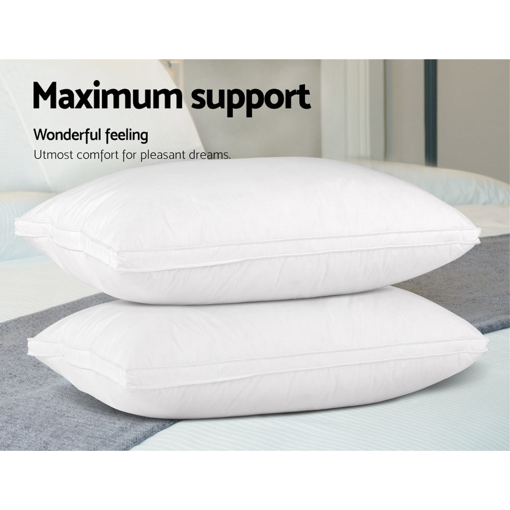 Goose Feather Down Twin Pack Pillow Homecoze
