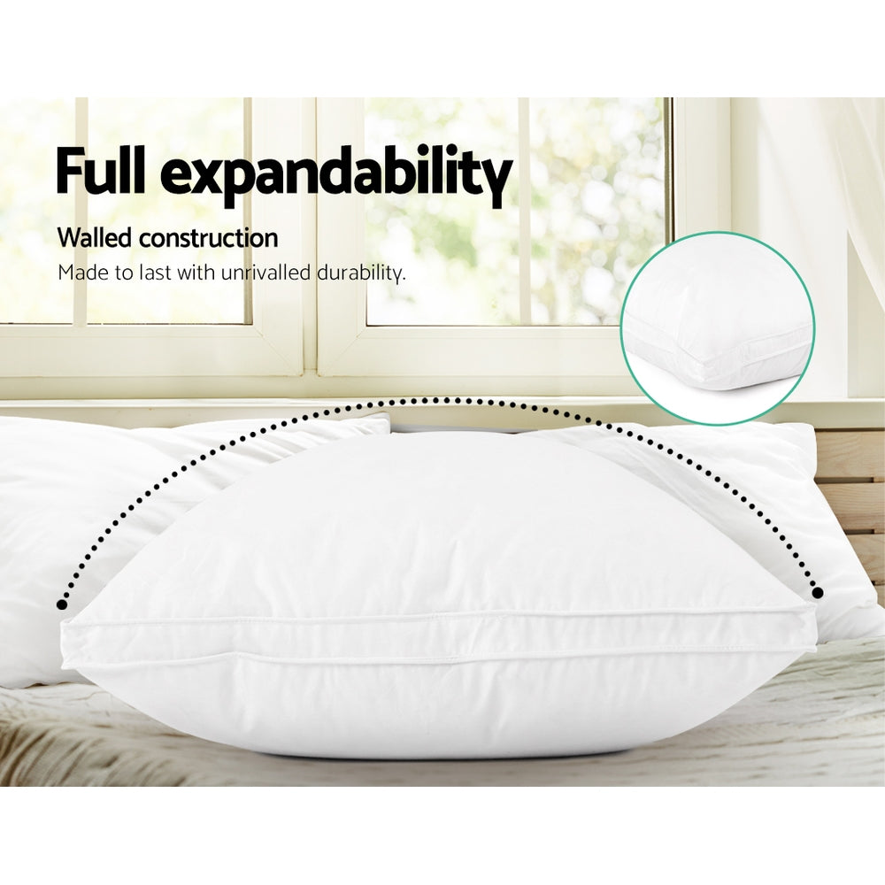 Goose Feather Down Twin Pack Pillow Homecoze