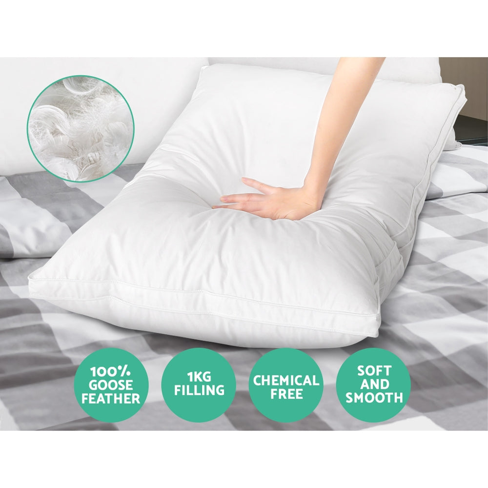 Goose Feather Down Twin Pack Pillow Homecoze