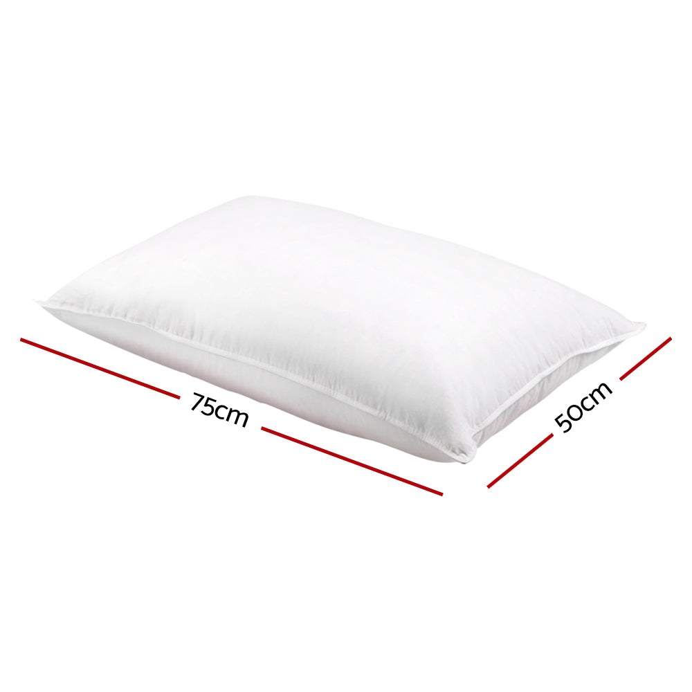 Set of 2 Goose Feather and Down Pillow - White Homecoze