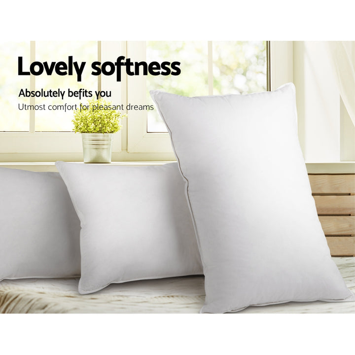 Set of 2 Goose Feather and Down Pillow - White Homecoze