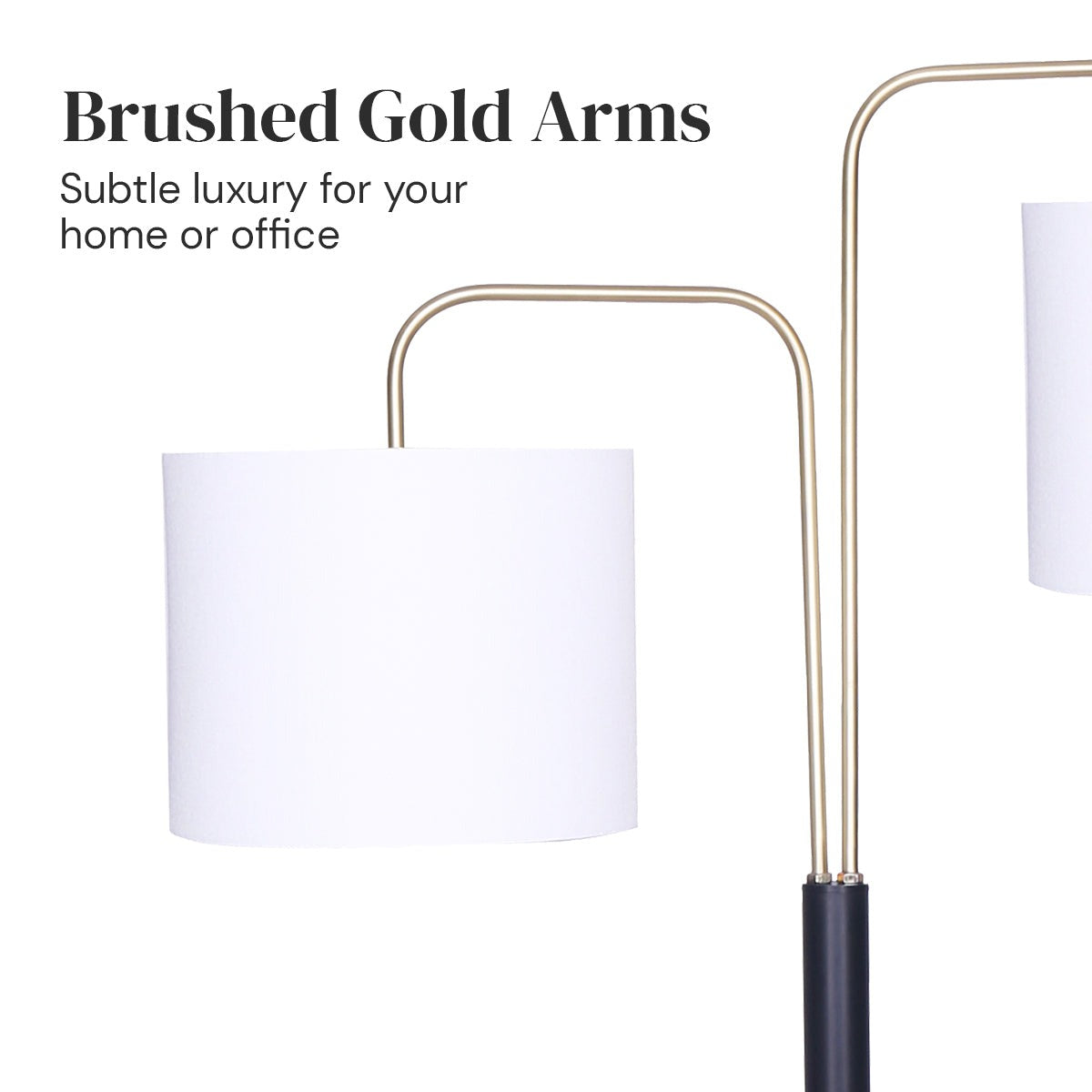 Black/Brass Finish Reading Light Floor Lamp - Homecoze